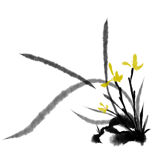zeri22